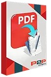 PDF File